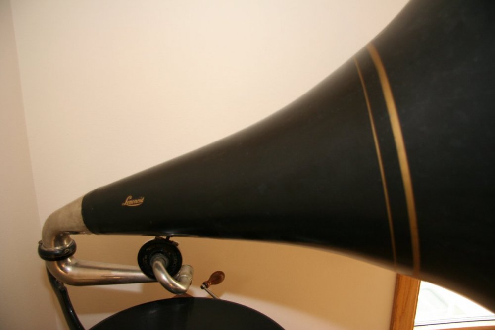 Linenoid_horn1.JPG