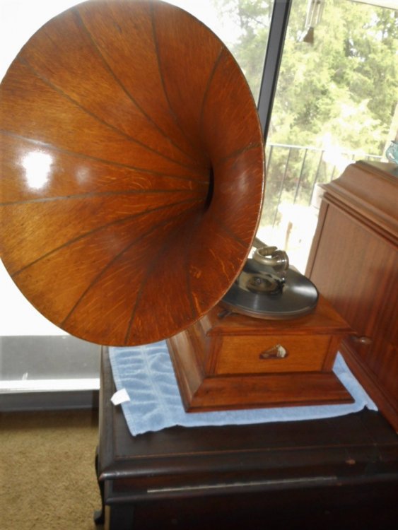 hmv wood horn too.JPG