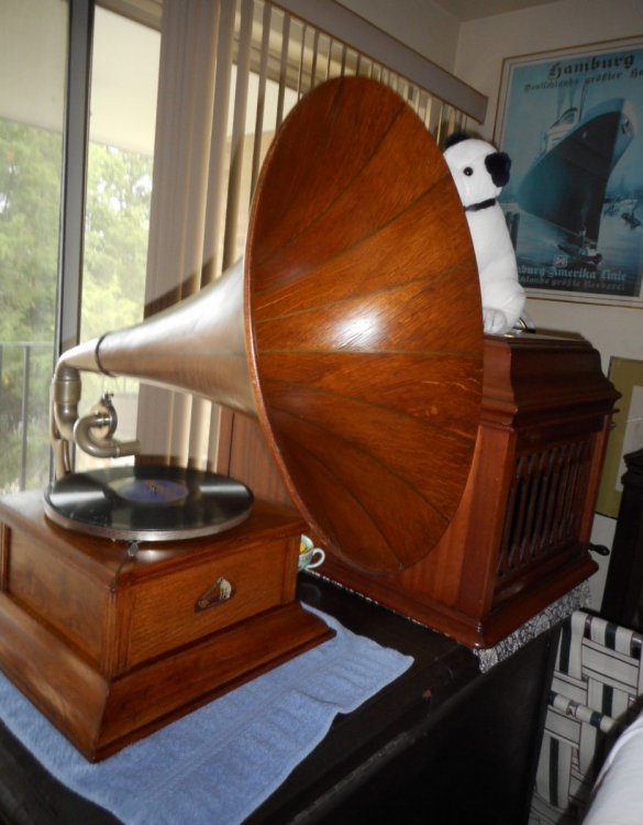 hmv horn and silicone (5).JPG