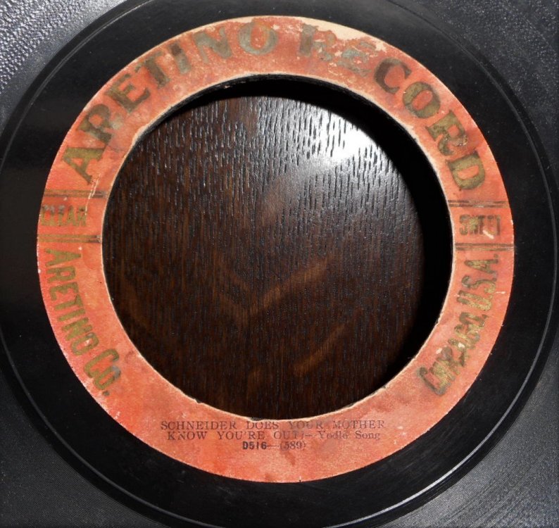 Aretino records (8).JPG