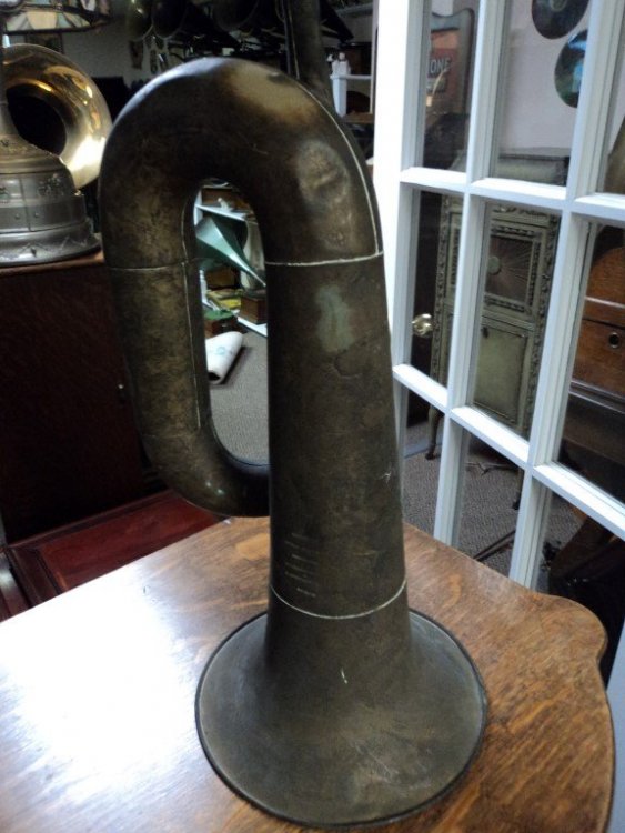 DSC03782 (Medium).JPG