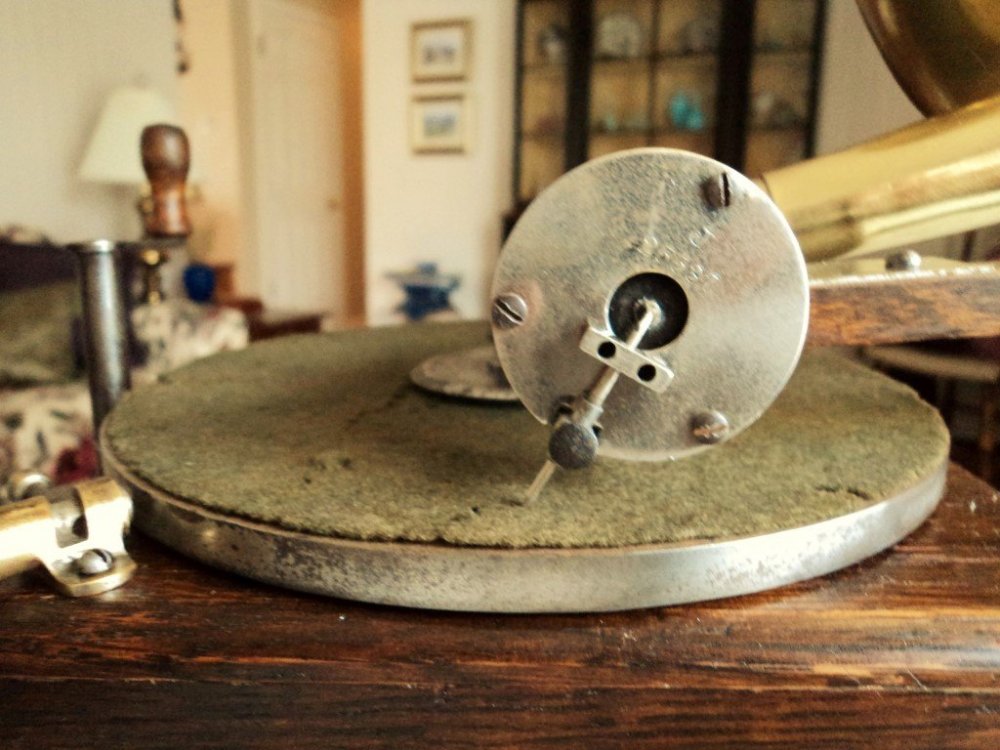 DSC03991 (Medium).JPG