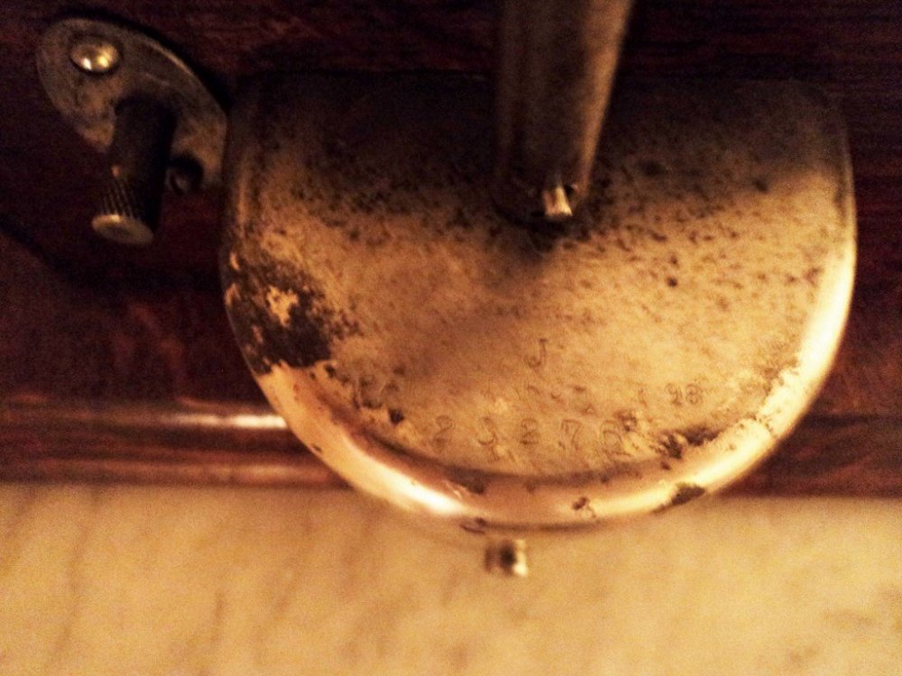 DSC03962 (Medium).JPG