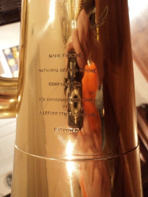 DSC03938 (Medium).JPG