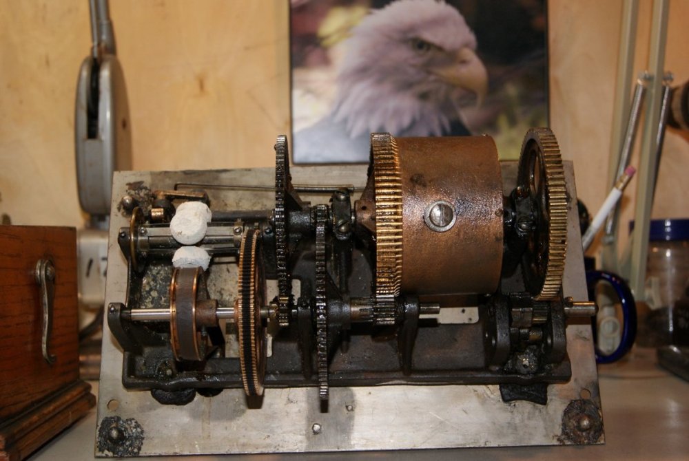 DSC05036 (Large).JPG