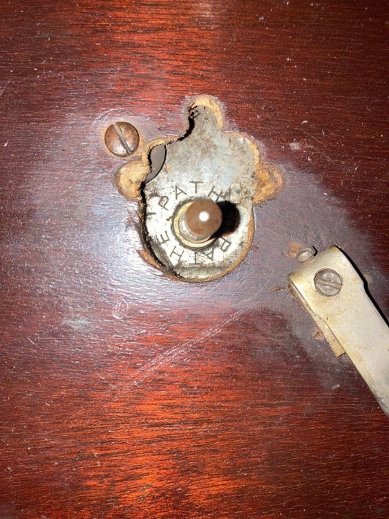 WhatsApp Image 2023-06-02 at 19.17.40 (1).jpeg