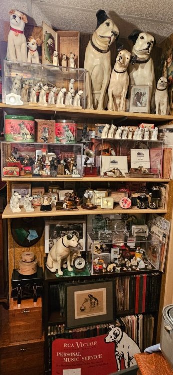 (4) some Nippers.jpg