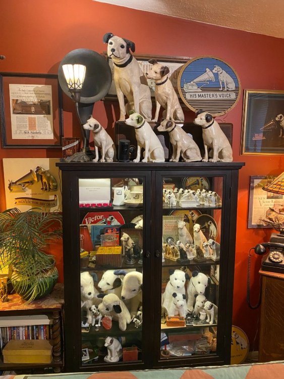 Glass eye corrected eyes 6-21-23.JPG