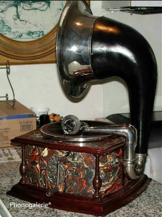 Unknown bighorn-1.jpeg