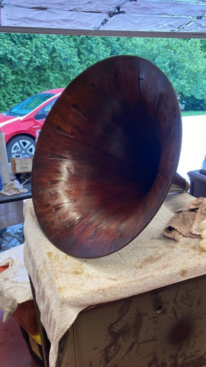 horn cleaned.jpg